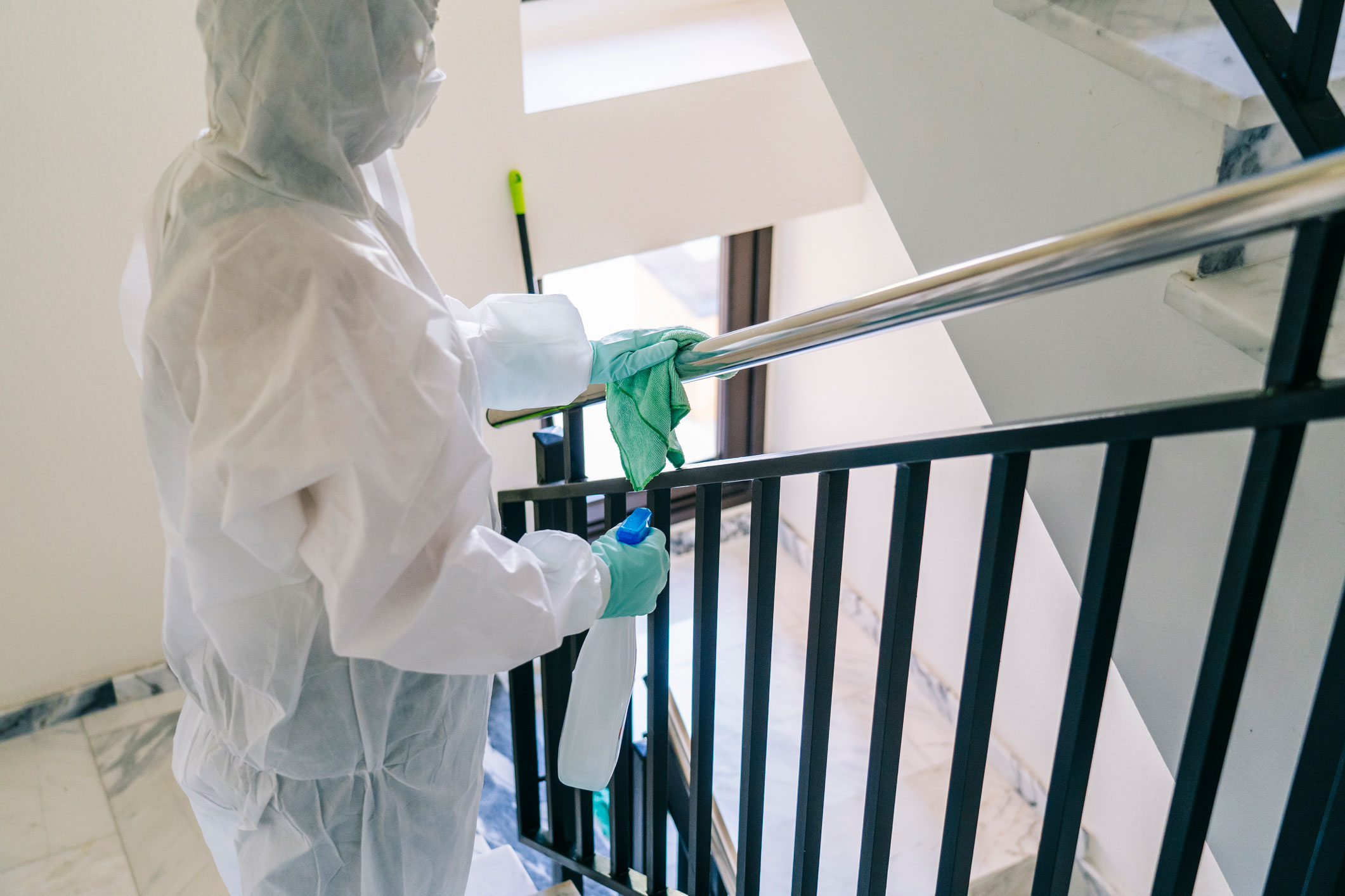 professional cleaning services